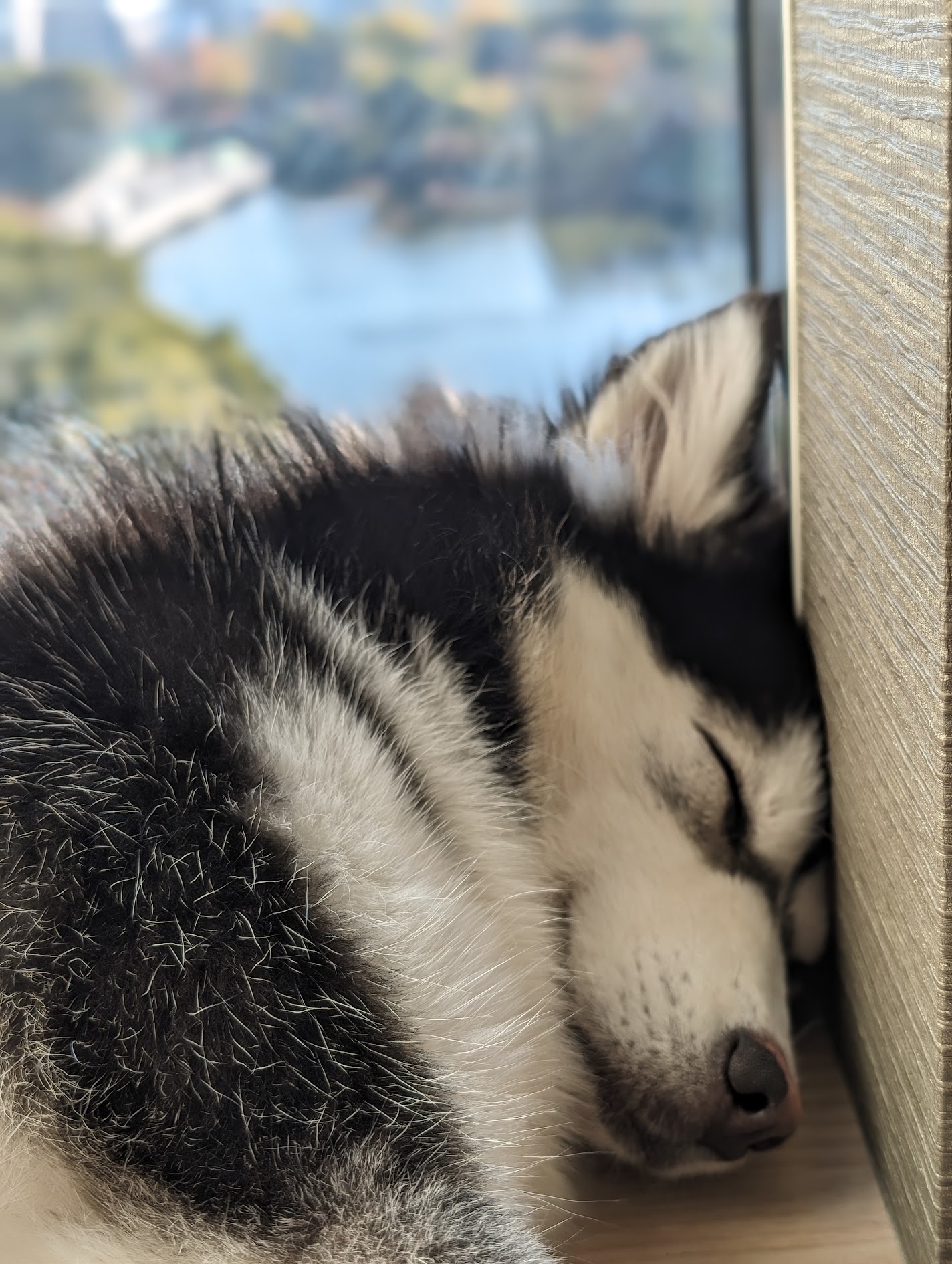 アテ画像