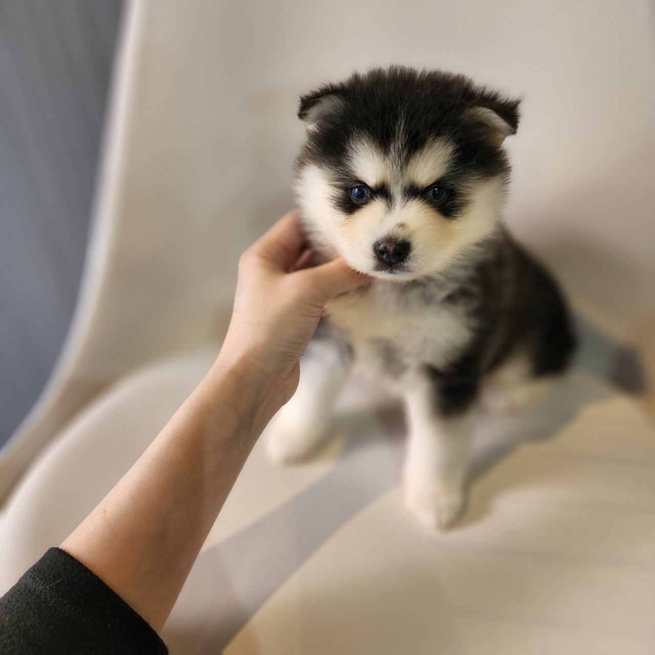 しえるちゃんの画像6