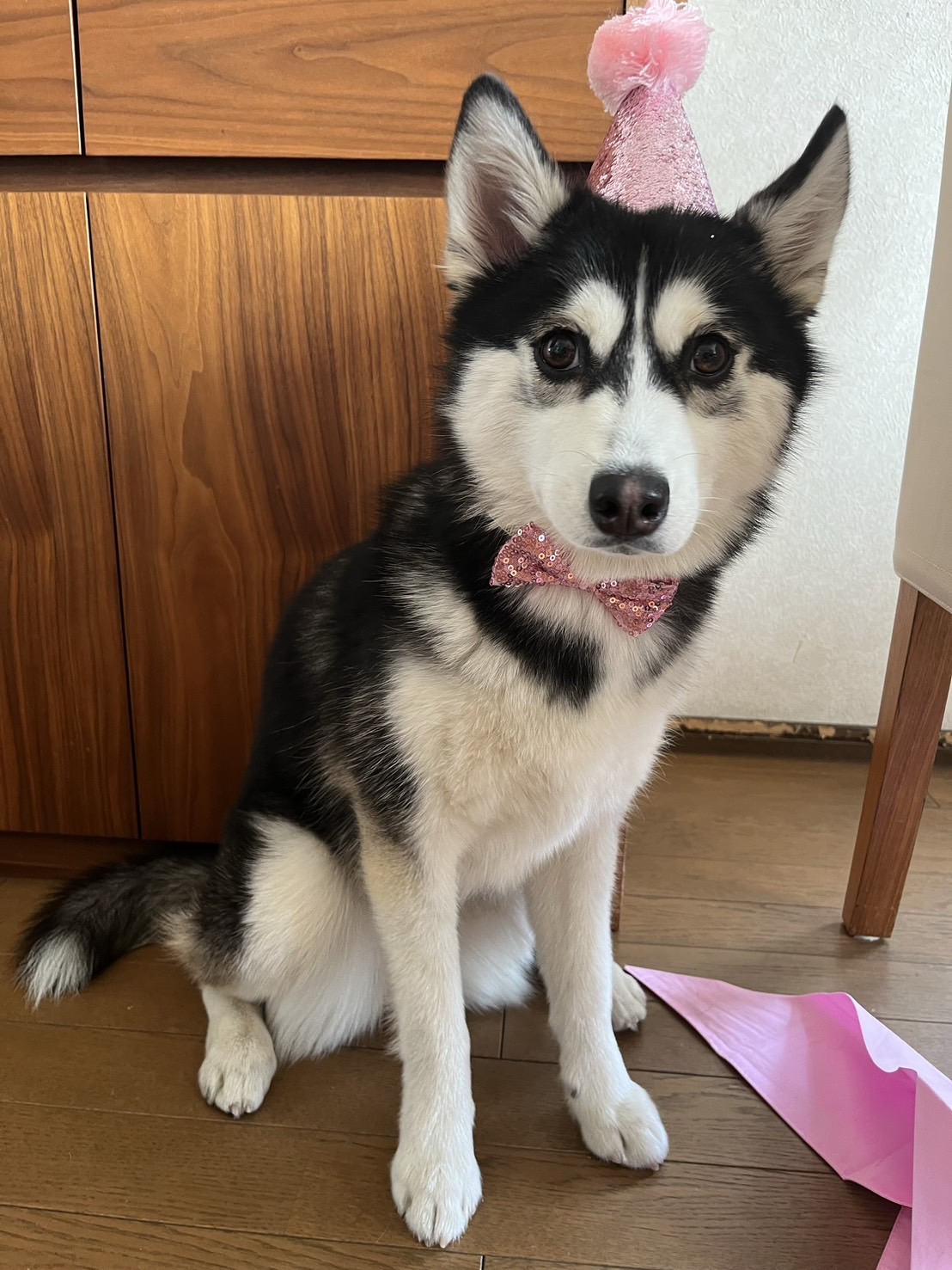 luanaちゃんの画像