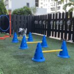 ポンスキー子犬ID()サムネイル画像9