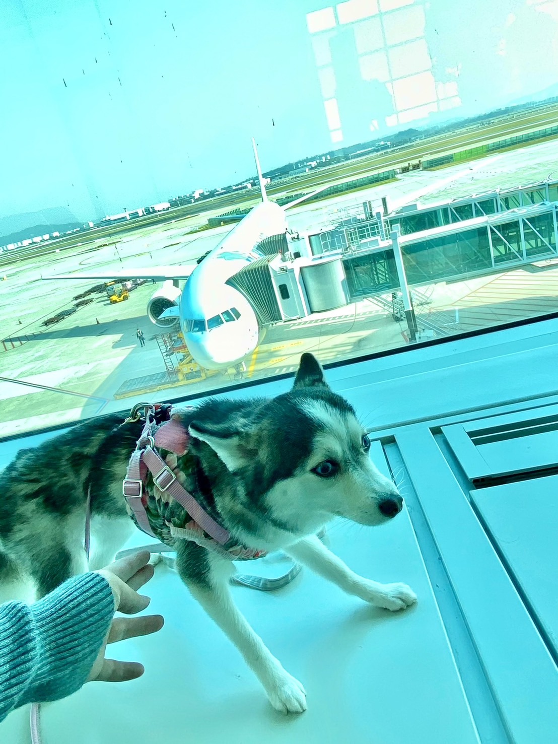 Totoroちゃんの画像4