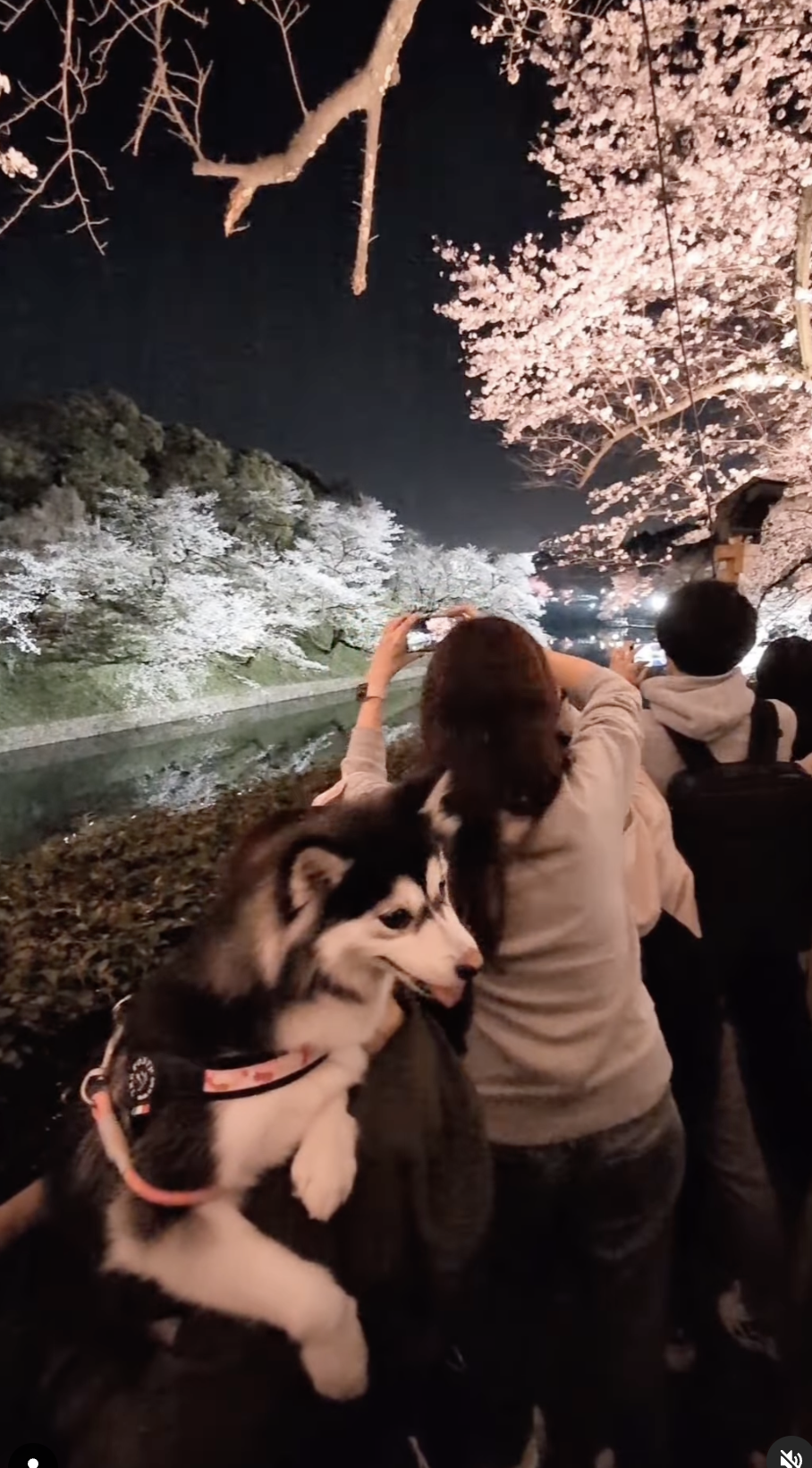 フォロワー 1,083人の画像