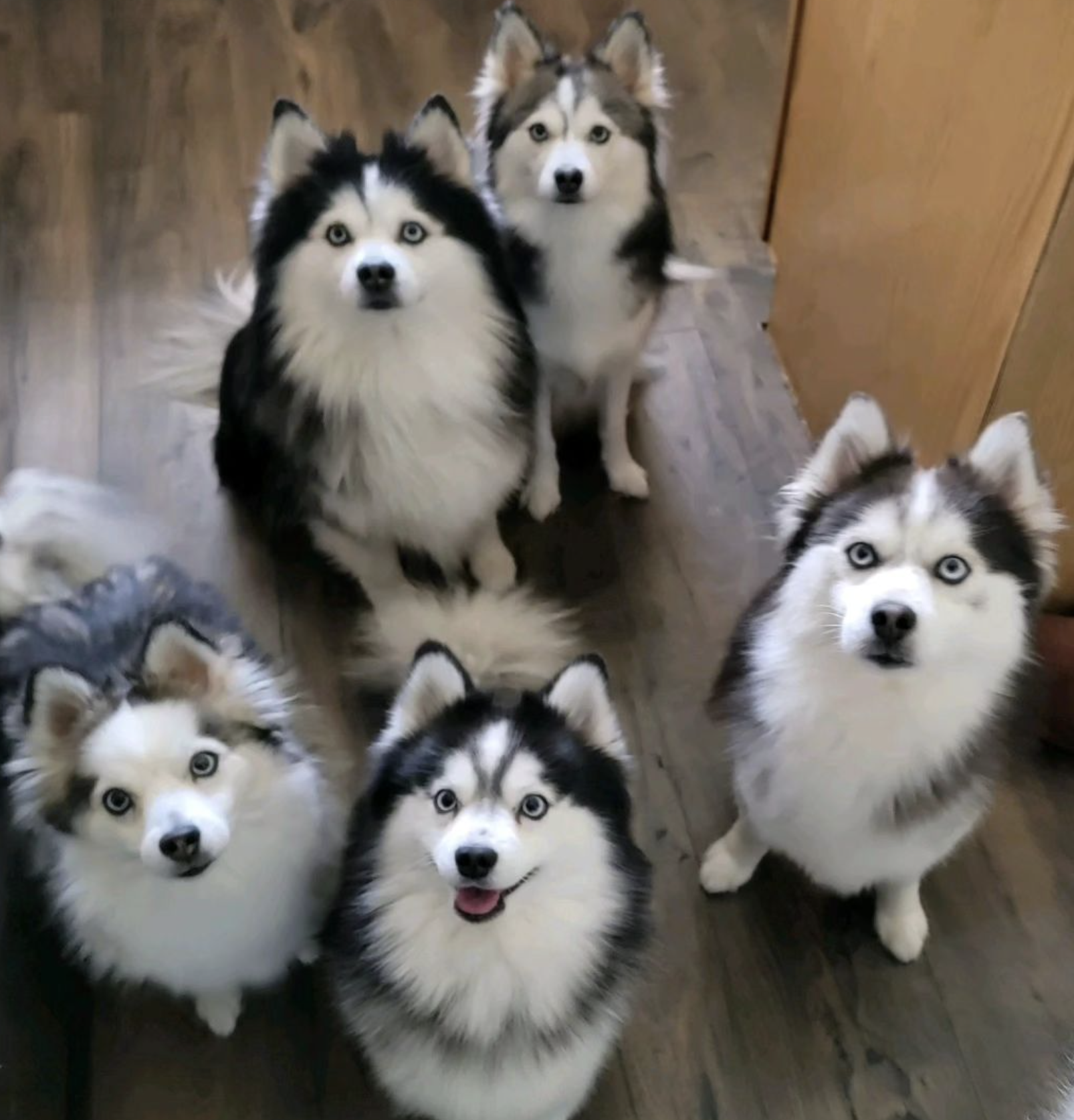 フォロワー 6,182人の画像